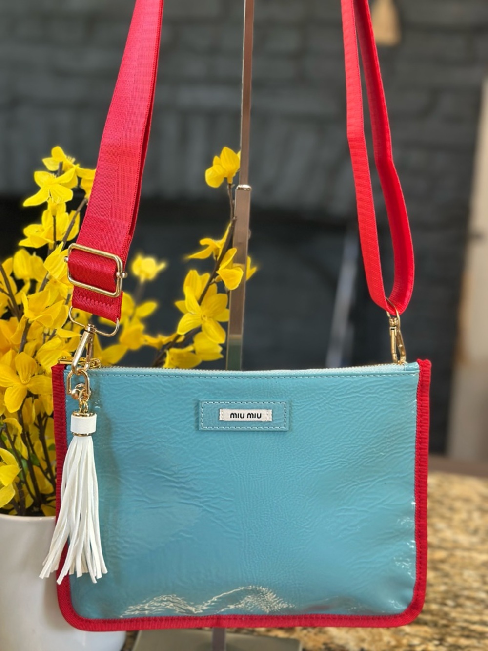 Miu Miu Beauty Bag